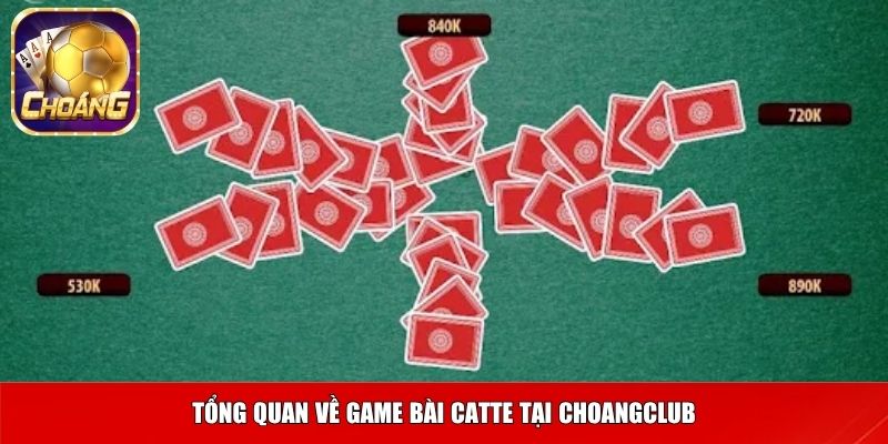 Tổng quan về game bài Catte tại Choangclub
