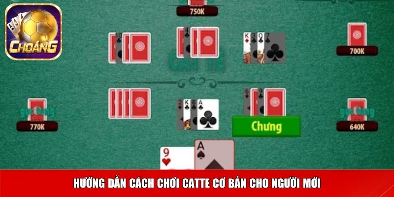 Hướng dẫn cách chơi catte cơ bản cho người mới