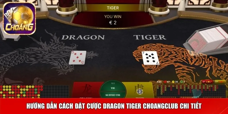 Hướng dẫn cách đặt cược Dragon Tiger Choangclub chi tiết