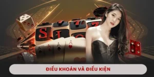 điều khoản và điều kiện