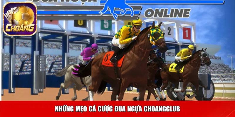 Giới thiệu về Đua ngựa Choangclub