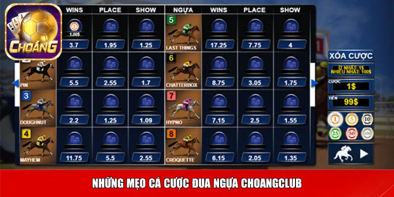 Những mẹo cá cược đua ngựa Choangclub