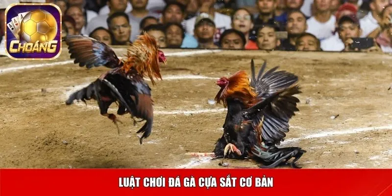 Luật chơi đá gà cựa sắt cơ bản