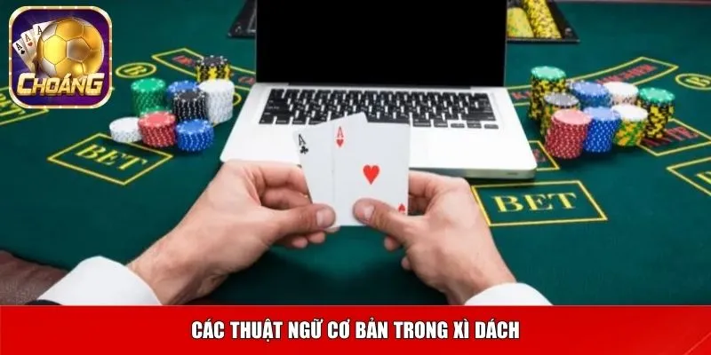 Thuật ngữ cơ bản trong game bài Xì Dách
