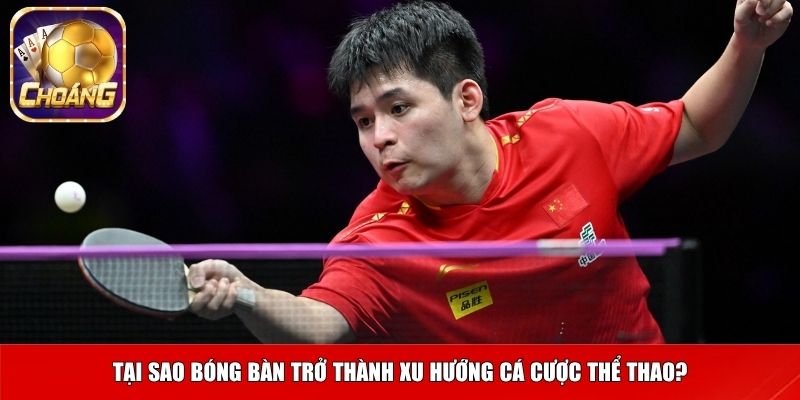 bong ban 1 Tại sao bóng bàn trở thành xu hướng cá cược thể thao?