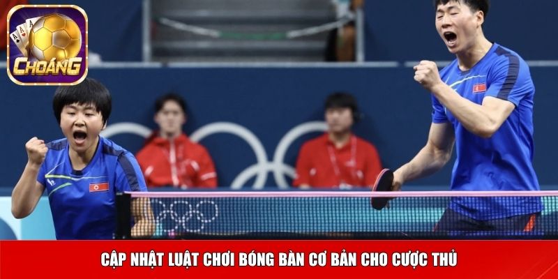 bong ban 3 Cập nhật luật chơi bóng bàn cơ bản cho cược thủ
