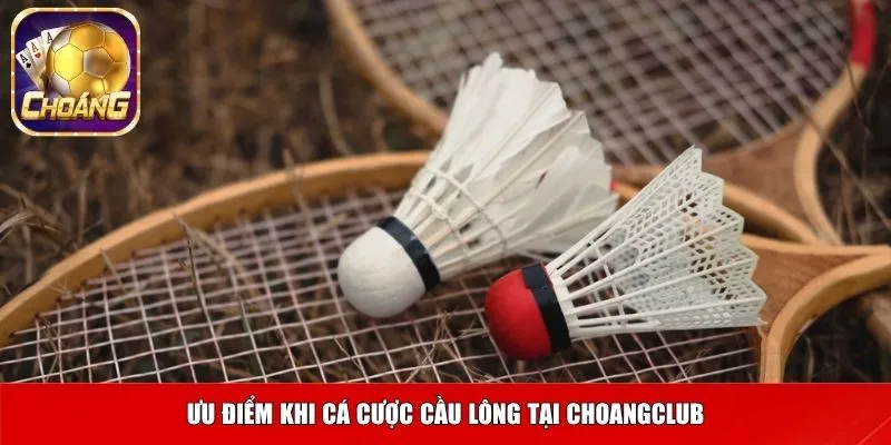 cau long choangclub 2 Ưu điểm khi cá cược cầu lông tại Choangclub