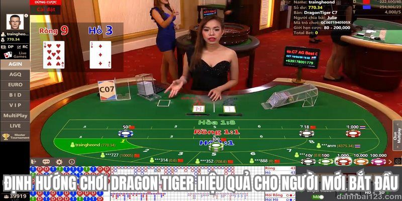 dinh huong choi dragon tiger hieu qua
