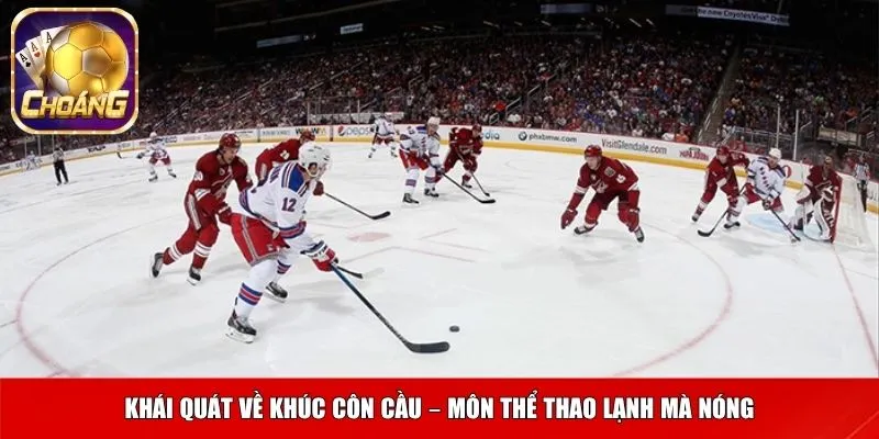 khuc con cau 1 Khái quát về khúc côn cầu – môn thể thao lạnh mà nóng