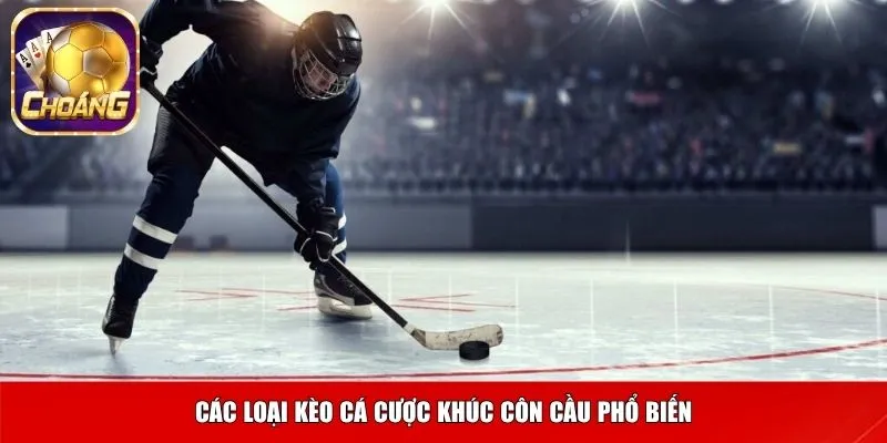 khuc con cau 2 Các loại kèo cá cược khúc côn cầu phổ biến