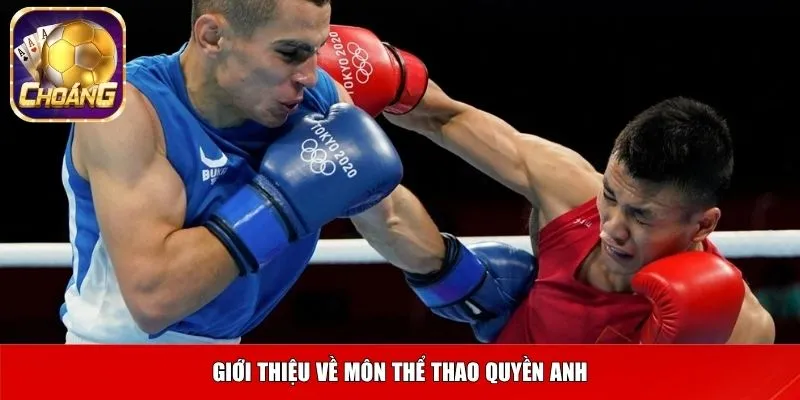 Giới thiệu về môn thể thao quyền anh
