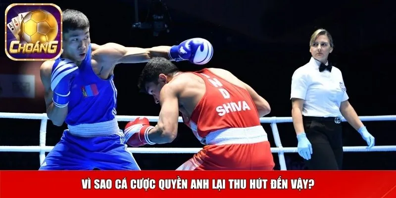 Vì sao cá cược quyền anh lại thu hút đến vậy?