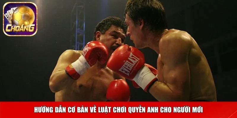 Hướng dẫn cơ bản về luật chơi quyền anh cho người mới