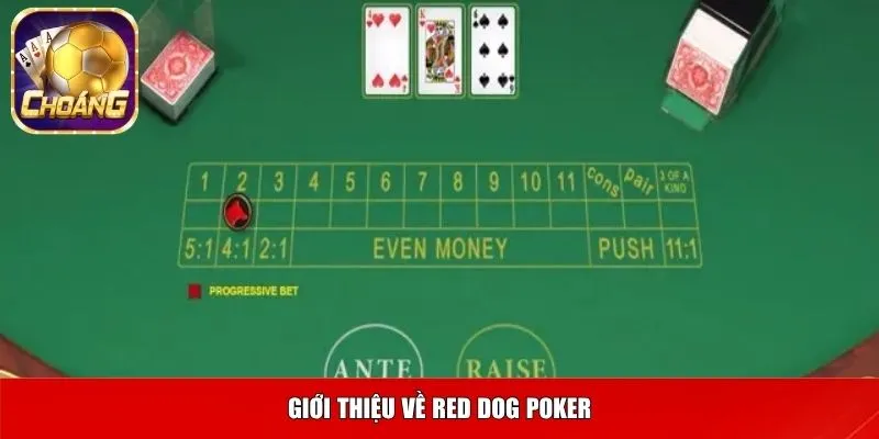 Giới thiệu về red dog poker